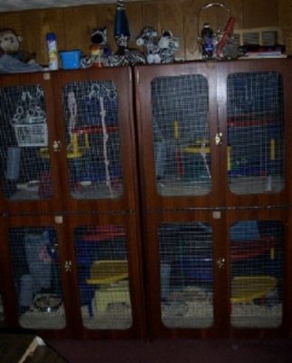 Cabinet Cage