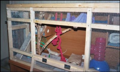 Rosie's Cabinet cage
