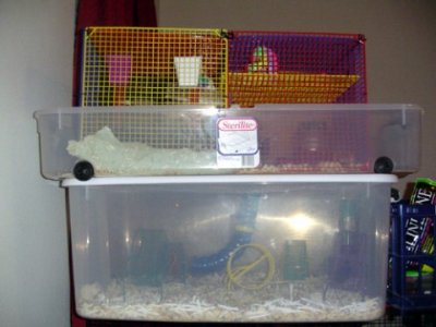 Plastic Tub cage