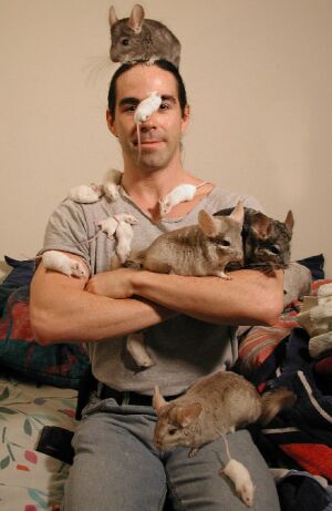 Cutter and Friends (Copyright 2002 Cutter Hays)