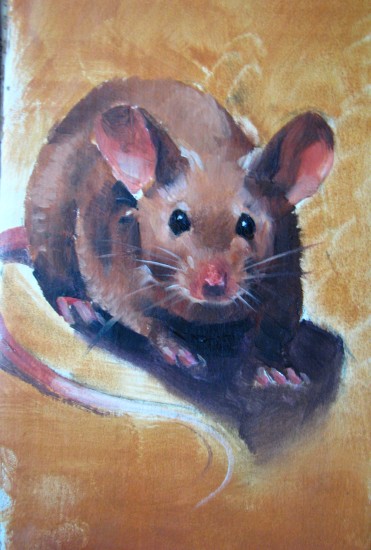 (Copyright 2009 Cutter Hays)