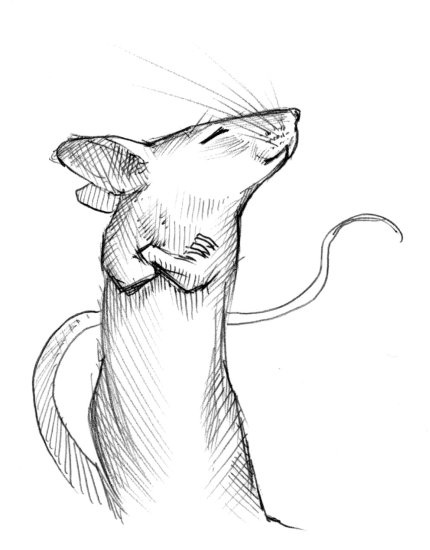 'Hell no.' (Copyright 2005 Cutter Hays)