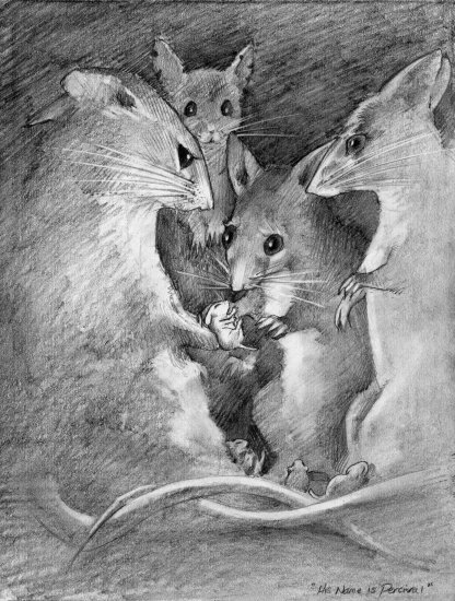 'His name is Percival.' (Copyright 2005 Cutter Hays)