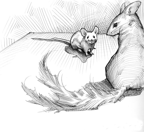 At Nemo's cage (Copyright 2005 Cutter Hays)