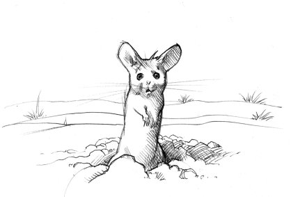 I sat in some snow... (Copyright 2005 Cutter Hays)