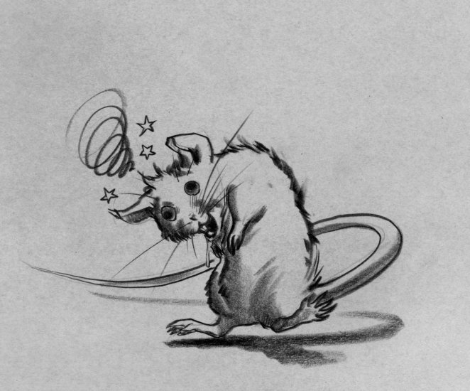 He looked at me like he was stunned, eyes not quite focusing. (Copyright 2005 Cutter Hays)