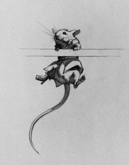 I was hanging by my little arms, many inches over potential doom. (Copyright 2005 Cutter Hays)