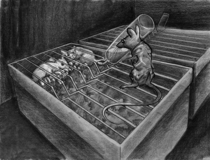 And within were not one but two mothers. (Copyright 2005 Cutter Hays)