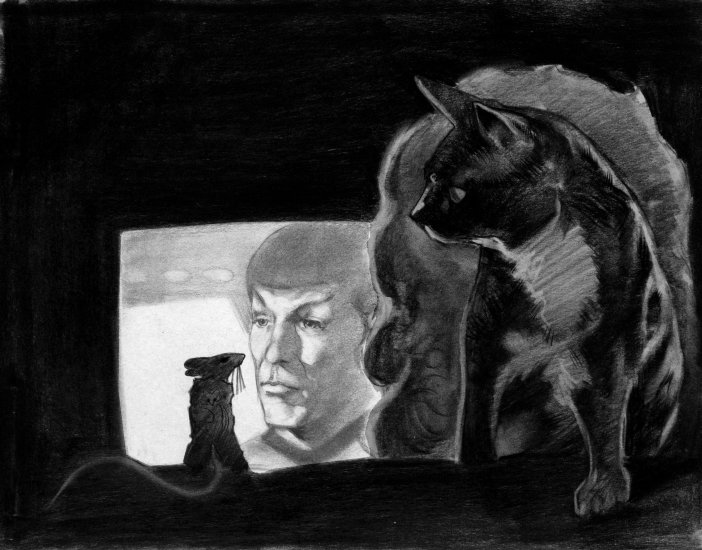 He sure looked funny with that BB stuck in his forehead. (Copyright 2005 Cutter Hays)