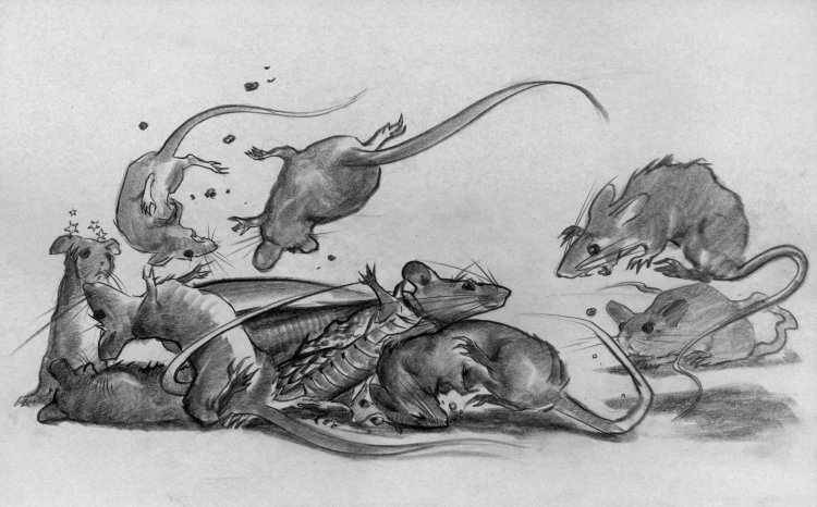 They never knew what hit them. (Copyright 2005 Cutter Hays)