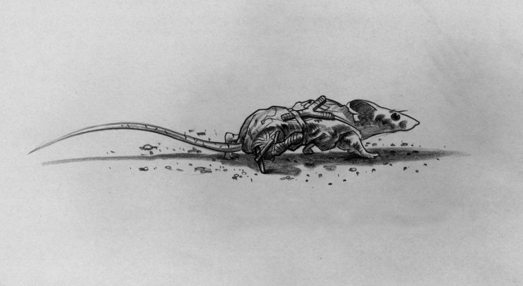 ...at least I was moving at all. (Copyright 2005 Cutter Hays)