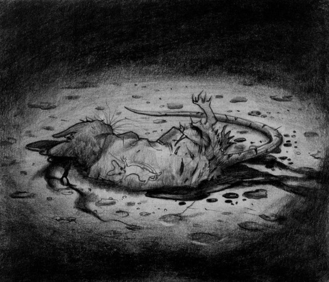 I passed out cold. (Copyright 2005 Cutter Hays)