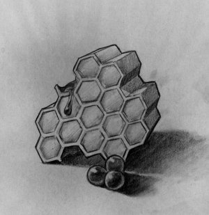 Honeycomb (Copyright 2005 Cutter Hays)