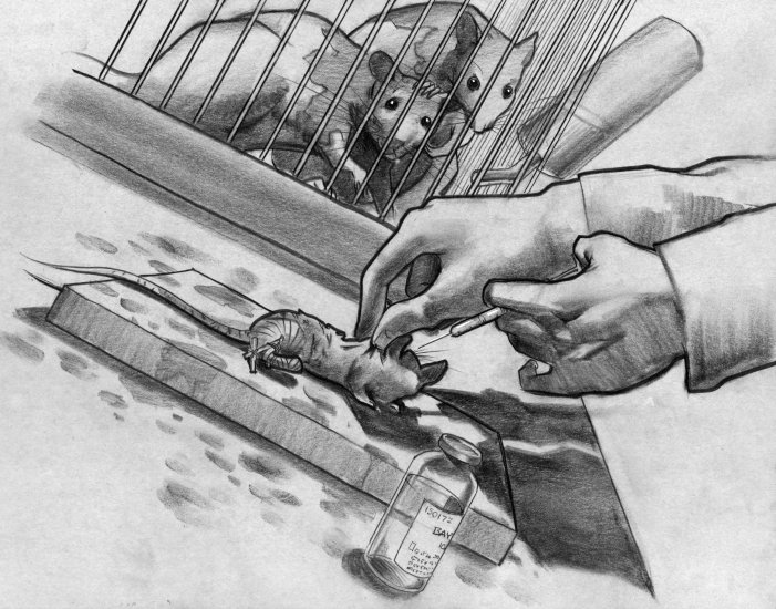 Two of them looked exactly like Shiva and Thor. (Copyright 2005 Cutter Hays)