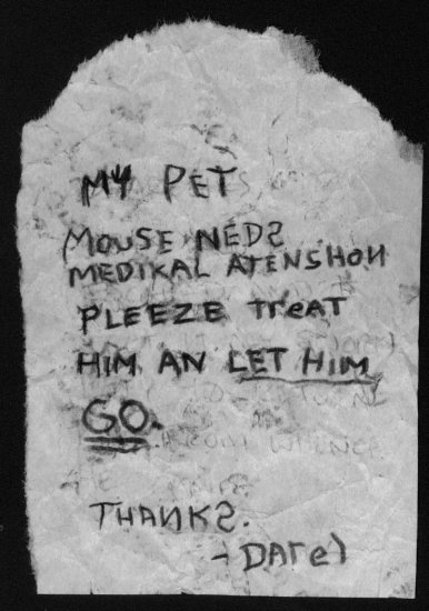 'My pet mouse neds medikal atenshon.' (Copyright 2005 Cutter Hays)