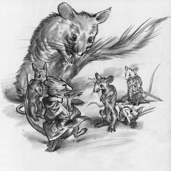 (Copyright 2005 Cutter Hays)