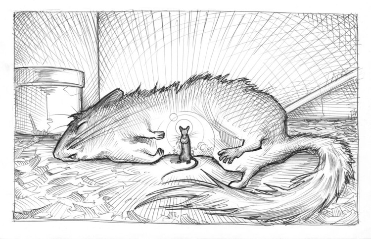 (Copyright 2005 Cutter Hays)