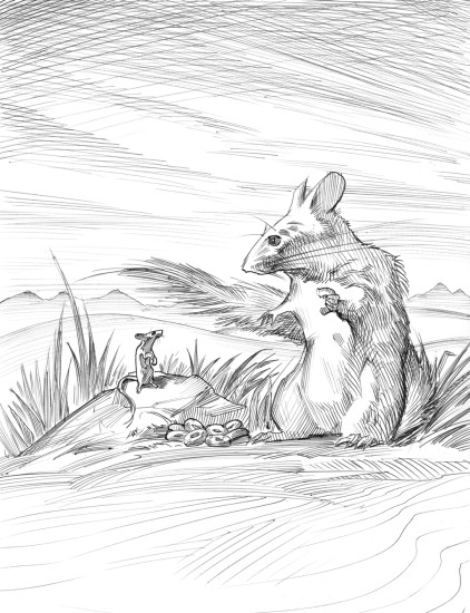 (Copyright 2005 Cutter Hays)