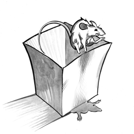 (Copyright 2005 Cutter Hays)