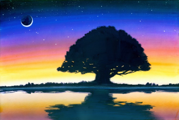 (Copyright 2006 Cutter Hays)