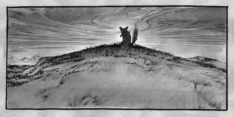 (Copyright 2006 Cutter Hays)