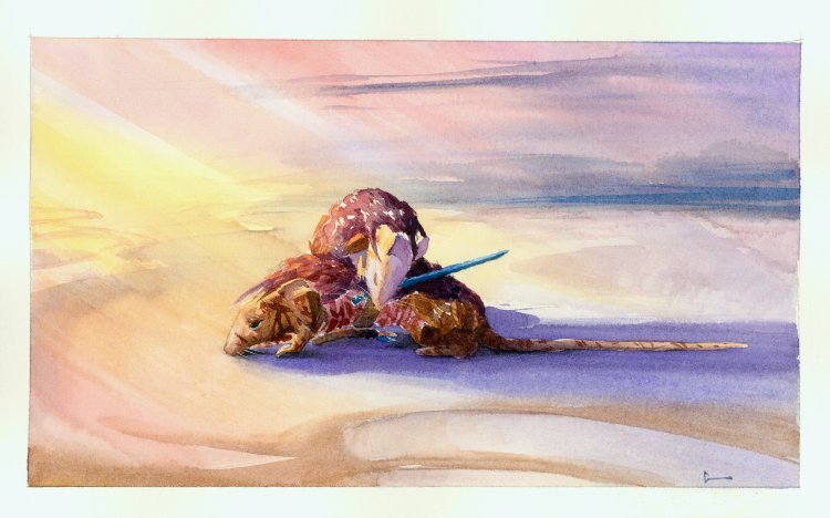 (Copyright 2006 Cutter Hays)