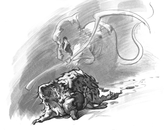 (Copyright 2006 Cutter Hays)