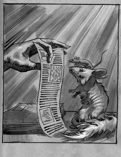 (Copyright 2006 Cutter Hays)