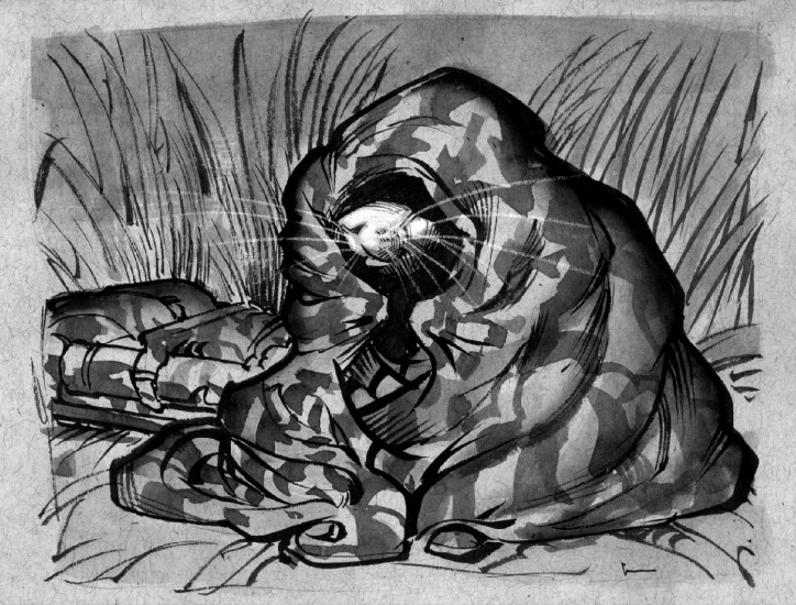 (Copyright 2006 Cutter Hays)