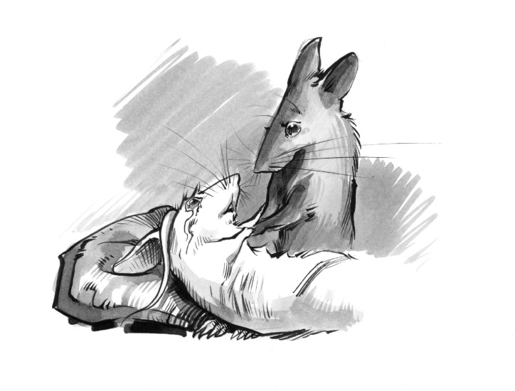 (Copyright 2006 Cutter Hays)