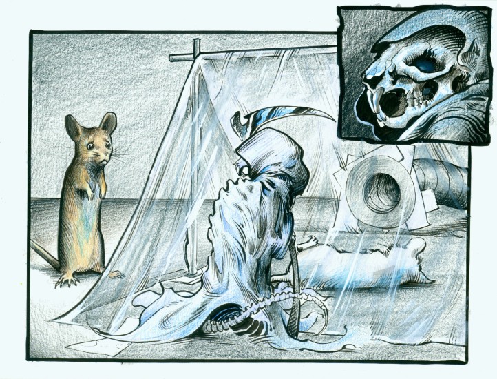 (Copyright 2006 Cutter Hays)