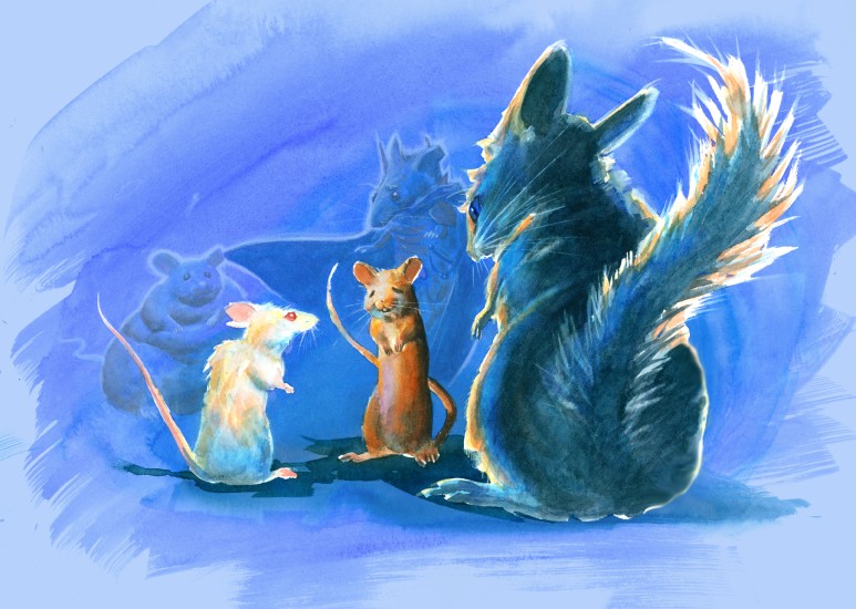 (Copyright 2006 Cutter Hays)