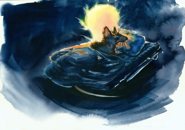 (Copyright 2006 Cutter Hays)