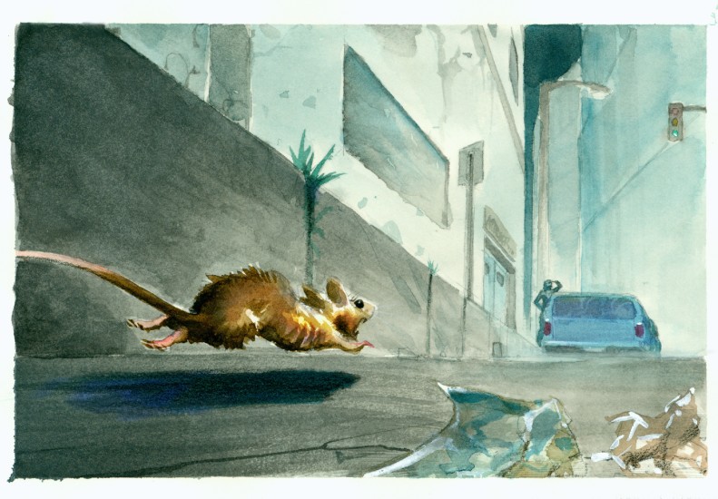 (Copyright 2006 Cutter Hays)