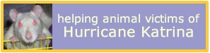 Helping animal victims of Hurricane Katrina