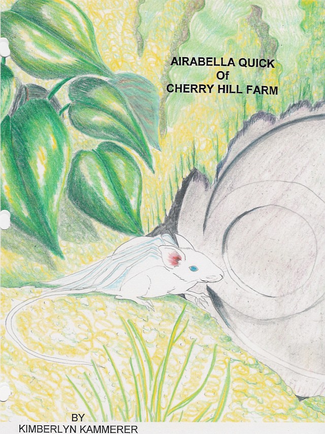 Airabella Quick Cover (Copyright 2008 Kimberlyn Kammerer)